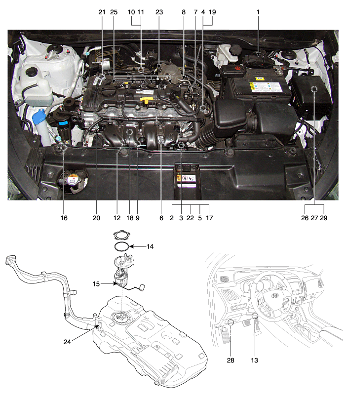 Hyundai Tucson Coolant - Perfect Hyundai